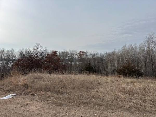 XXXX 273rd Ave NW, Livonia Twp, MN 55330