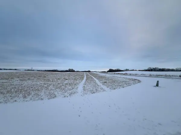 28413 Kaffitz RD, Red Wing, MN 55066