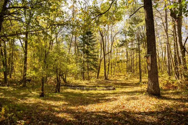 Tract B Brietbach RD, Park Rapids, MN 56470