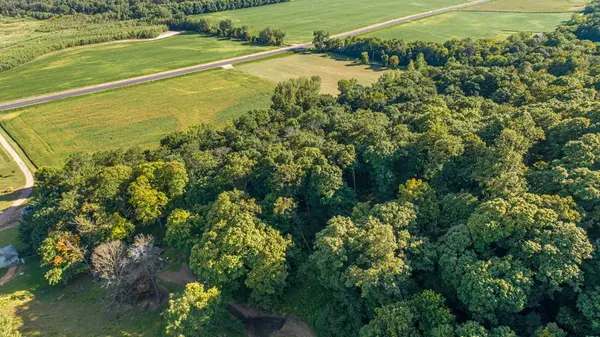 TBD Scenic Byway RD, Henderson, MN 56044