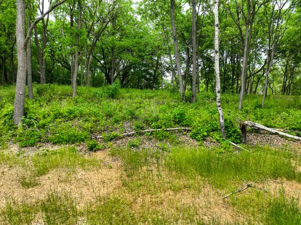 2685 Woodcliffe Trl, Hastings, MN 55033