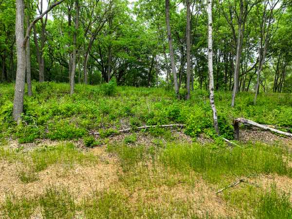 2685 Woodcliffe Trl, Hastings, MN 55033
