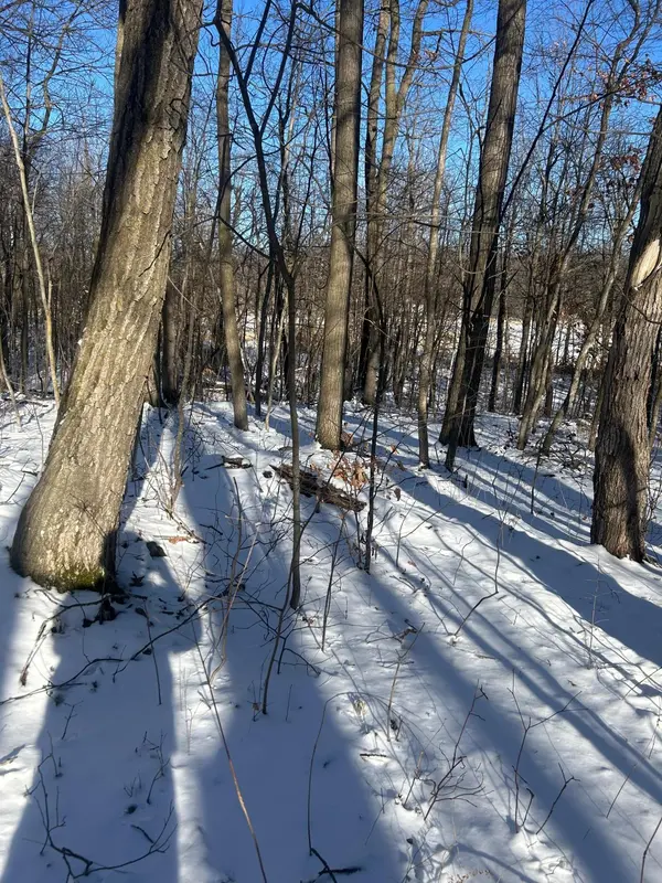 xxx Cardinal TRL, Randall, MN 56475