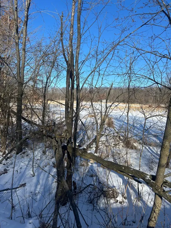 xxx Cardinal TRL, Randall, MN 56475