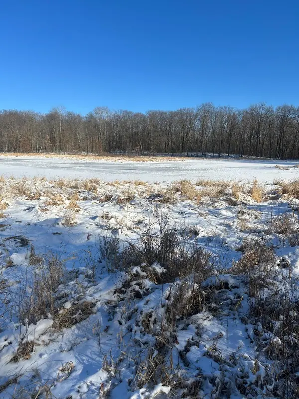 xxx Cardinal TRL, Randall, MN 56475