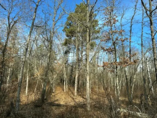 TBD Wildwood Ave, Nevis, MN 56467