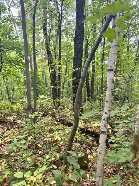 xxx Pebble Pass, Cushing, MN 56443