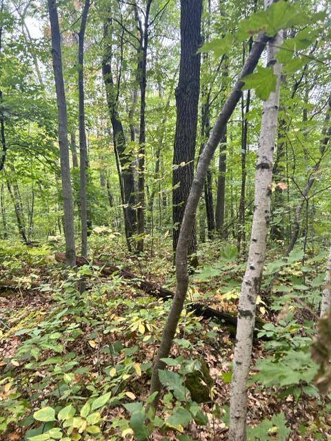 xxx Lake Camile/Lost Lake, Cushing, MN 56443