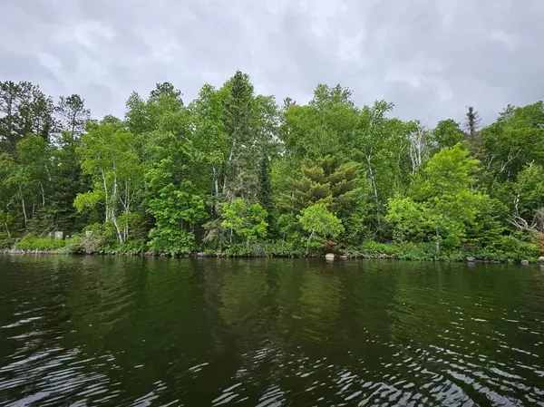 xxx Hinsdale Island, Cook, MN 55723