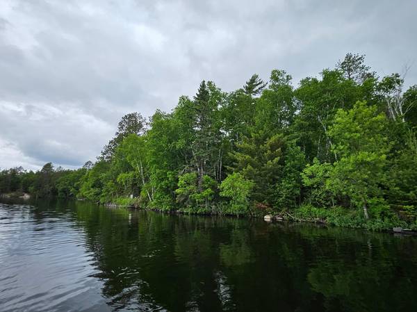 xxx Hinsdale Island, Cook, MN 55723