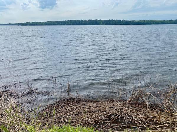 32597 Quail LN, Laporte, MN 56461