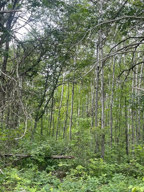Lot 4 Patriot Ave, Pequot Lakes, MN 56472