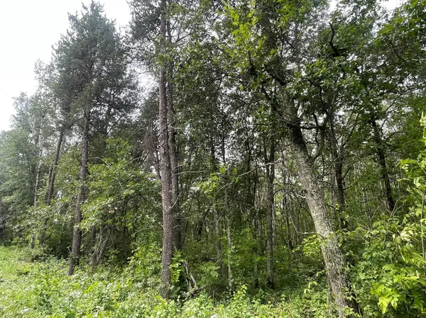 Lot 4 Patriot Ave, Pequot Lakes, MN 56472