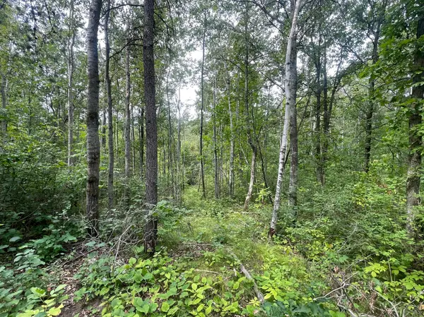 Lot 2 Patriot Ave, Pequot Lakes, MN 56472
