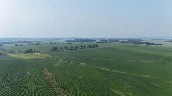 0000 County 61, Browerville, MN 56438