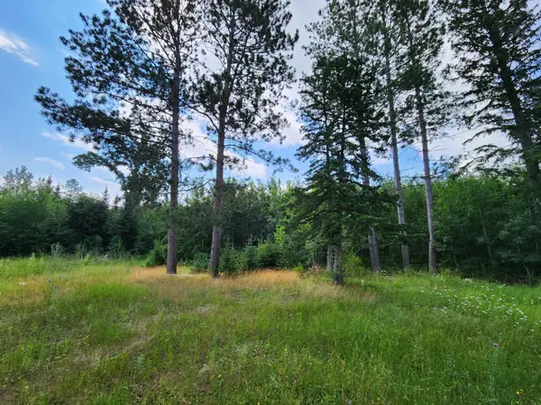 18575 State 34, Park Rapids, MN 56470