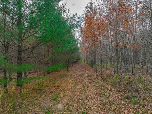 XXX Lot #12 110th AVE, Hammond, WI 54015