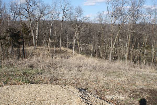 xxxxC Kings Park RD NW, Oronoco, MN 55960