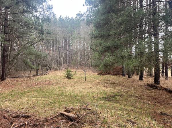 Xxxxx Old 67 Road, Henning, MN 56551