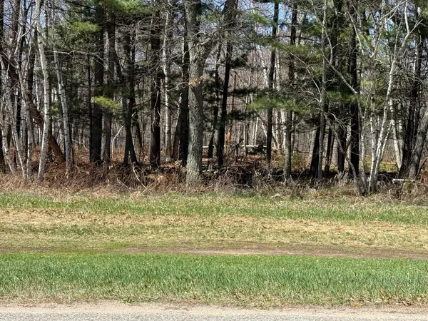 TBD County Road 4, Pequot Lakes, MN 56472