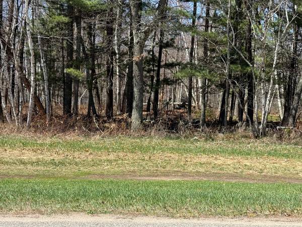 TBD County Road 4, Pequot Lakes, MN 56472