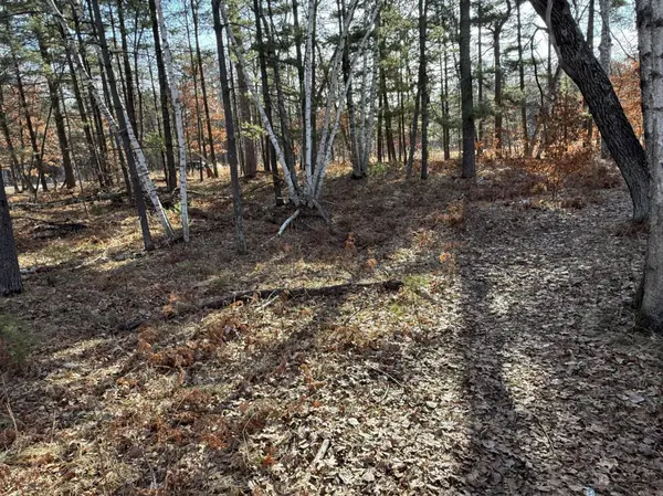 TBD County Road 4, Pequot Lakes, MN 56472