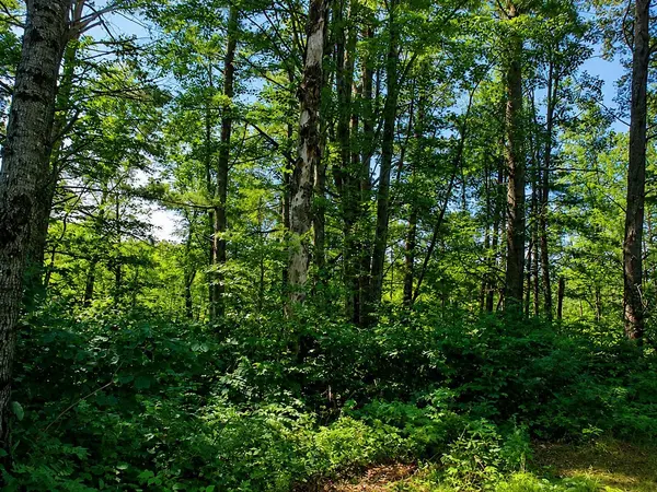 Lot 1 State Road 27/70, Couderay, WI 54828