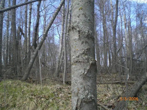 Lot 211 Catskill CIR, Breezy Point, MN 56472