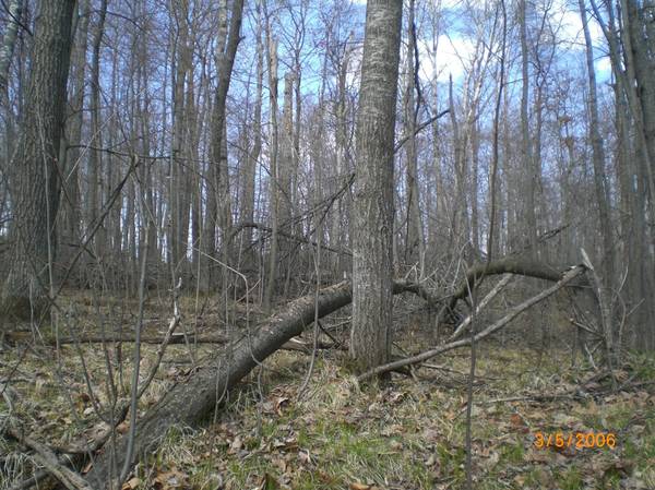 Lot 211 Catskill CIR, Breezy Point, MN 56472