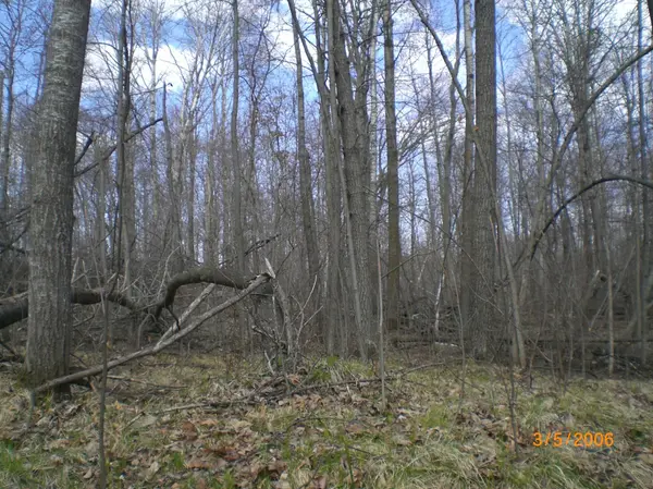 Lot 211 Catskill CIR, Breezy Point, MN 56472