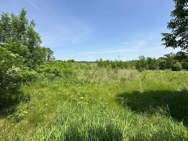 29036 Biehn DR, Madison Lake, MN 56063