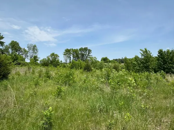 29036 Biehn DR, Madison Lake, MN 56063