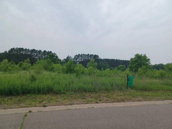 16174 Austin St NE, Ham Lake, MN 55304