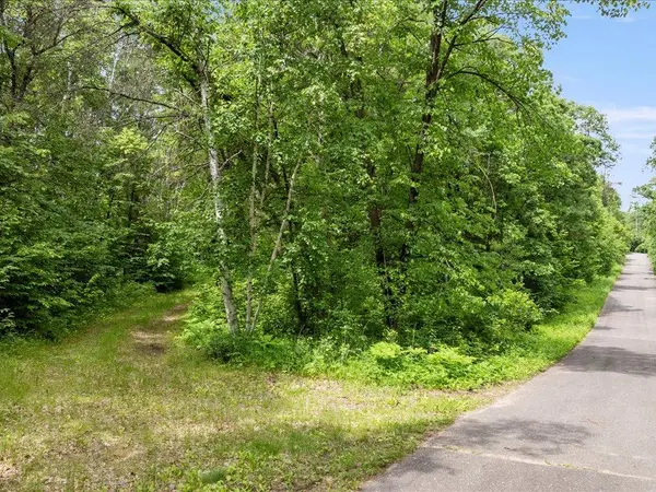 TBD Dog Leg, Pequot Lakes, MN 56472