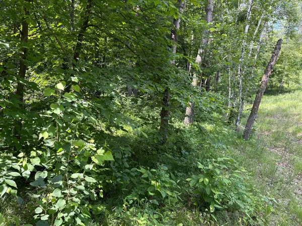 399xx Oriole CT, Browerville, MN 56438