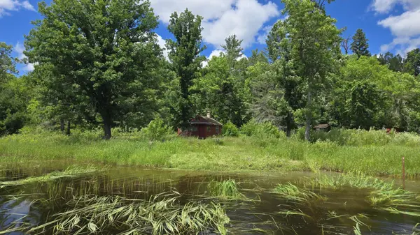TBD 40 Crane Lake, Crane Lake, MN 55725