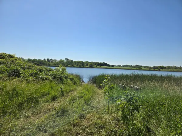 TBD County Hwy 83, Battle Lake, MN 56515