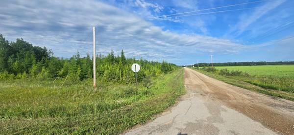 33949 County 17 RD, Roosevelt, MN 56673