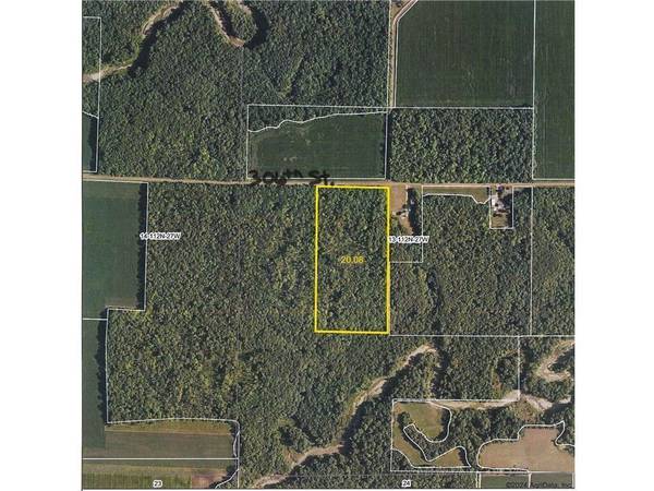 TBD 306th ST, Henderson, MN 56044