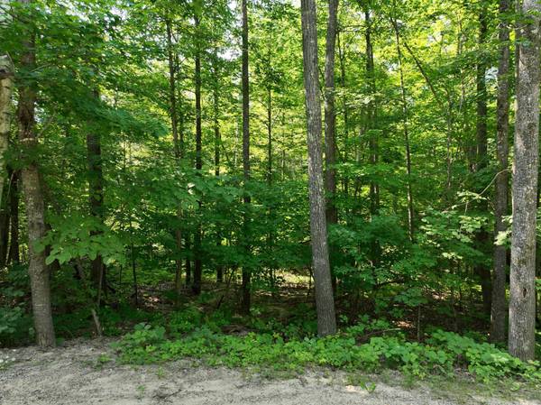 TBD Hillerman RD NW, Hackensack, MN 56452