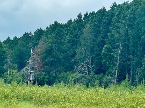 TBD 20th St. SW 20 St. SW, Pine River, MN 56474
