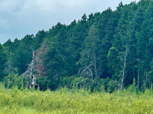 TBD 20th St. SW 20 St. SW, Pine River, MN 56474