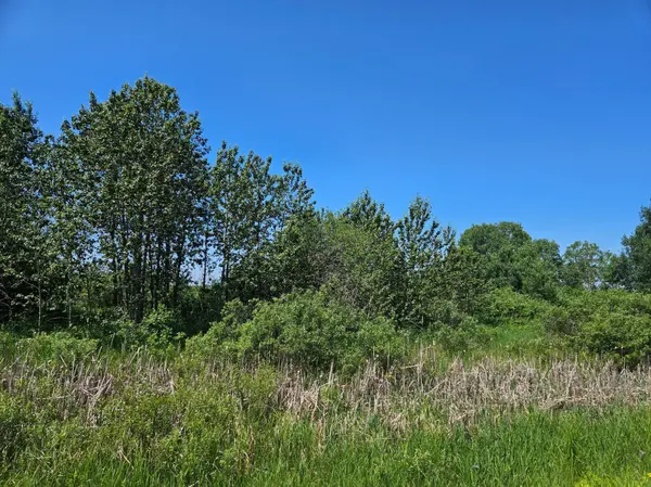 xxx County Road 32, Aitkin, MN 56431