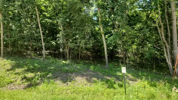 XXXX Cedar Beach DR NW, Oronoco, MN 55960