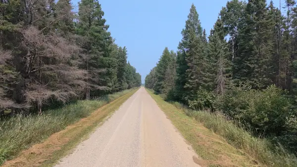 TBD 80 Acres Sunflower RD NE, Kelliher, MN 56650