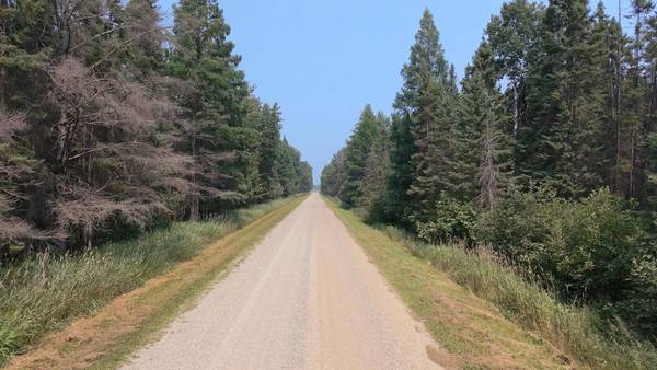TBD 80 Acres Sunflower RD NE, Kelliher, MN 56650