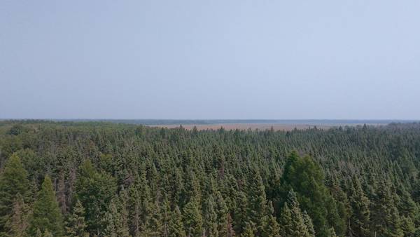 TBD 80 Acres Sunflower RD NE, Kelliher, MN 56650