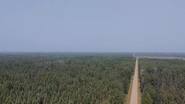 TBD 80 Acres Sunflower RD NE, Kelliher, MN 56650