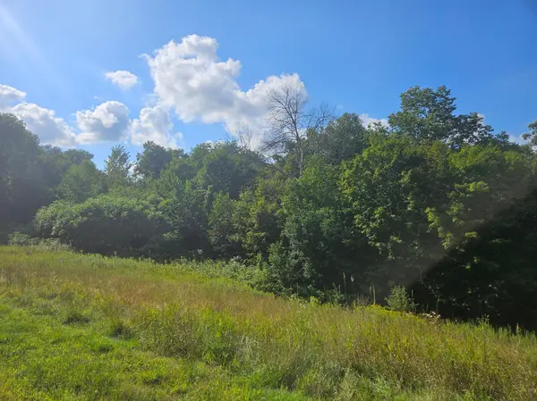 xxx 263rd ST, Shafer, MN 55074