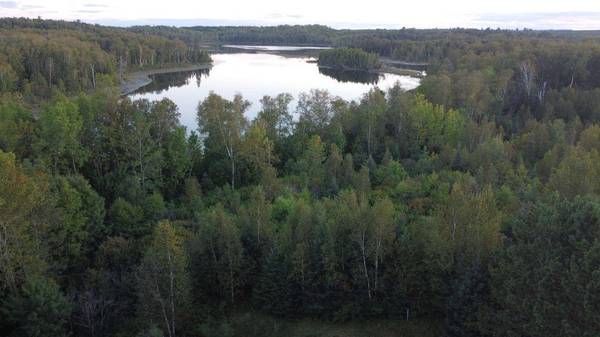 Parcel B E Gunn Lake TRL, Marcell, MN 56657